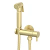 Arezzo Round Douche Shower Spray Kit With Bar Shut-Off Valve And Hose Brushed Brass -Bostik Shop arzdk3bb l