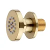 Arezzo Brushed Brass Body Jet - 1 X Slim Round Jet -Bostik Shop azrdjbb d4