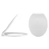 Nui Carlton Soft Close Toilet Seat -Bostik Shop carlseat l