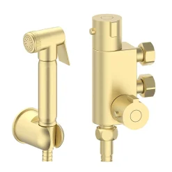 Arezzo Round Douche Thermostatic Bar Valve With Shower Spray Kit Brushed Brass -Bostik Shop dbvskbb l