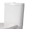 RAK Ceramic RAK Tonique Close Coupled Cistern -Bostik Shop toncist l